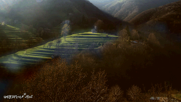 visualizza pagina